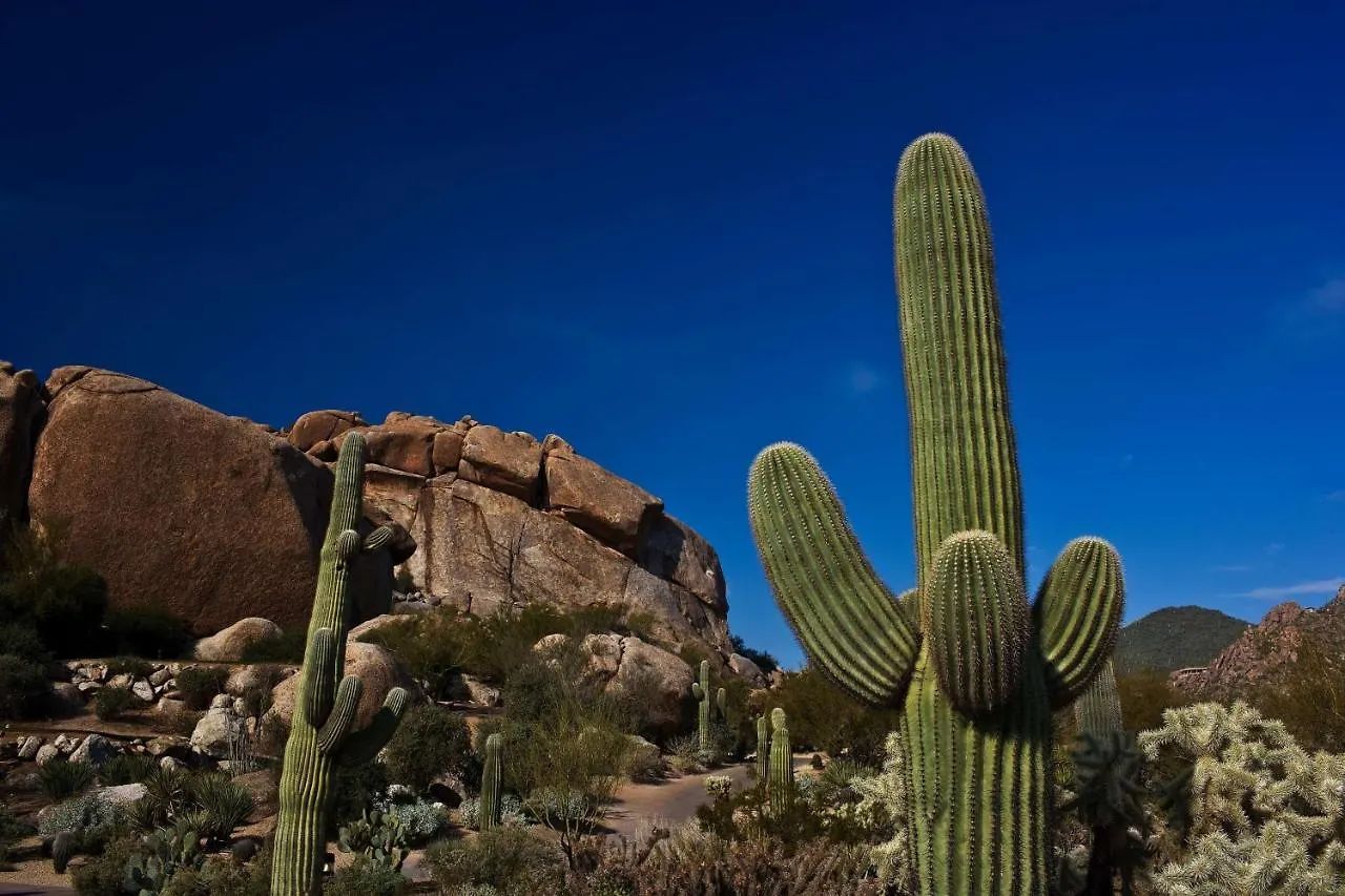 Boulders Resort & Spa Scottsdale, Curio Collection By Hilton